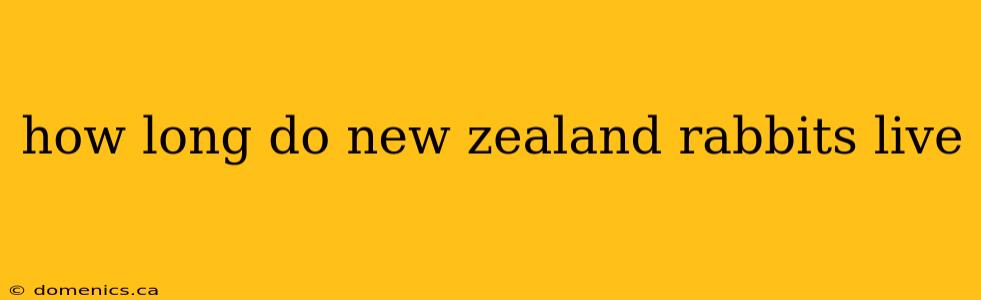 how long do new zealand rabbits live