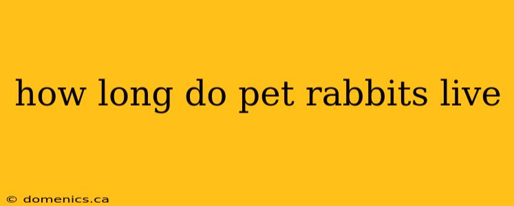 how long do pet rabbits live