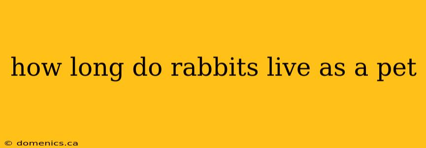 how long do rabbits live as a pet