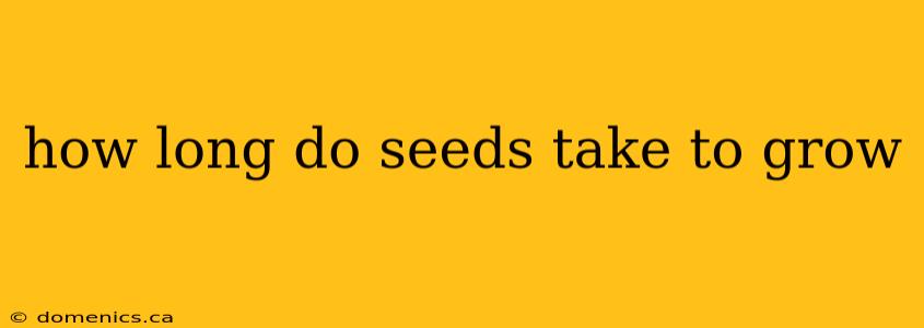 how long do seeds take to grow