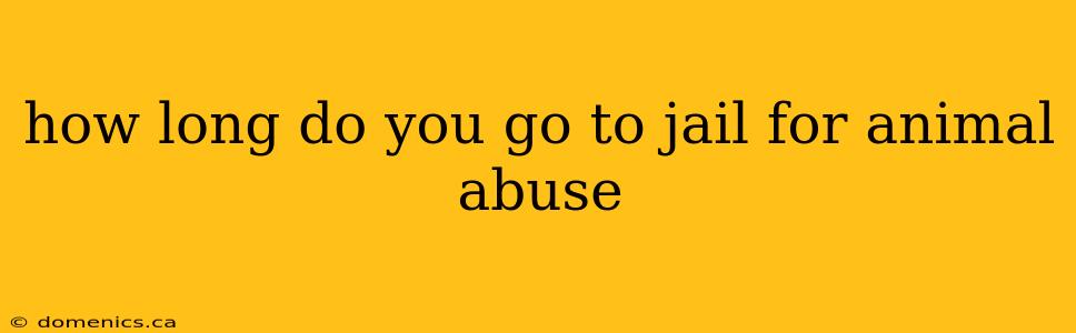 how long do you go to jail for animal abuse