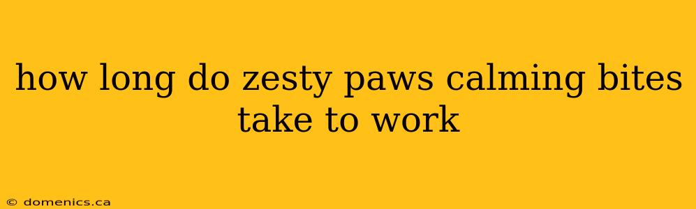 how long do zesty paws calming bites take to work
