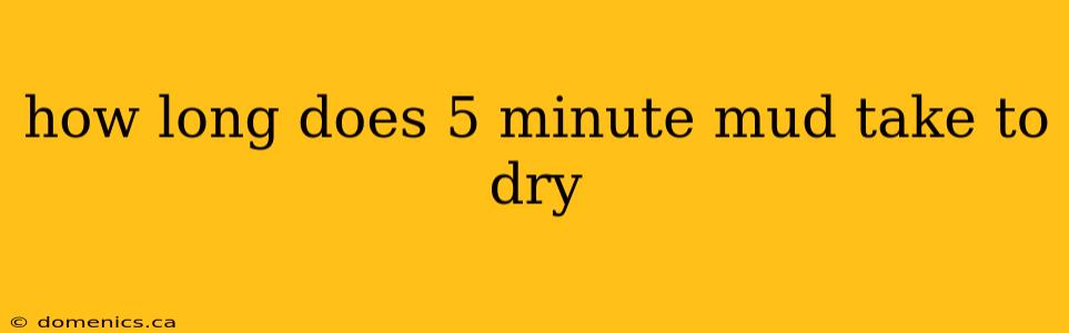 how long does 5 minute mud take to dry