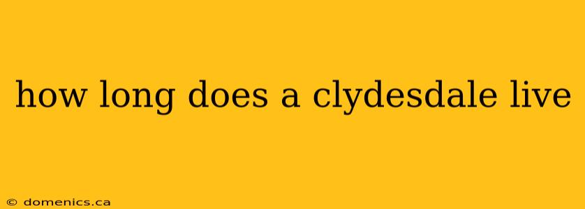 how long does a clydesdale live