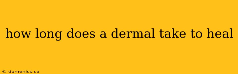 how long does a dermal take to heal