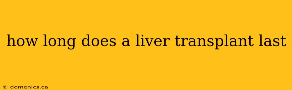 how long does a liver transplant last