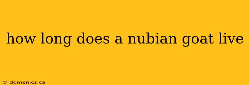 how long does a nubian goat live