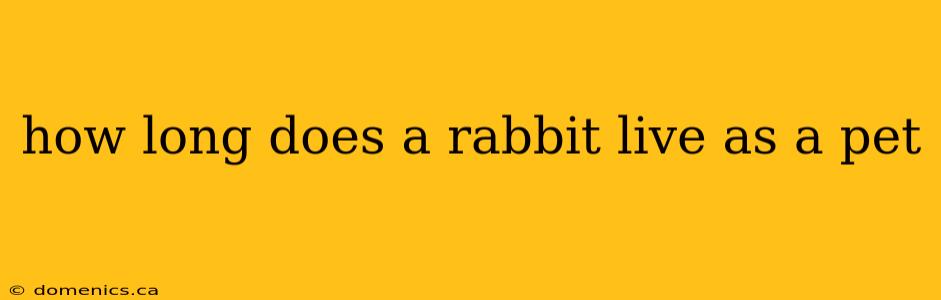 how long does a rabbit live as a pet