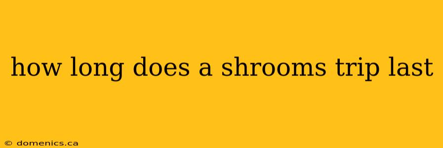 how long does a shrooms trip last