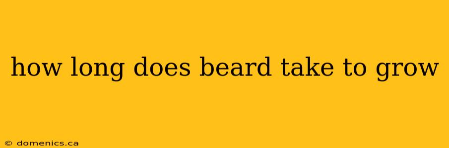 how long does beard take to grow