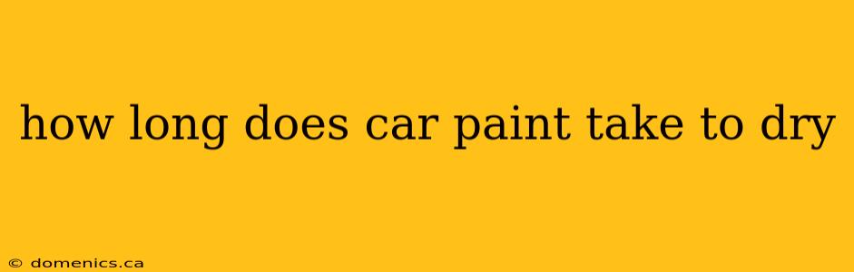 how long does car paint take to dry