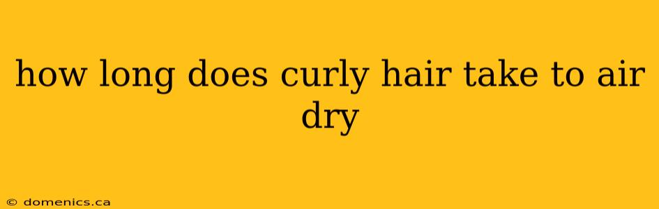 how long does curly hair take to air dry