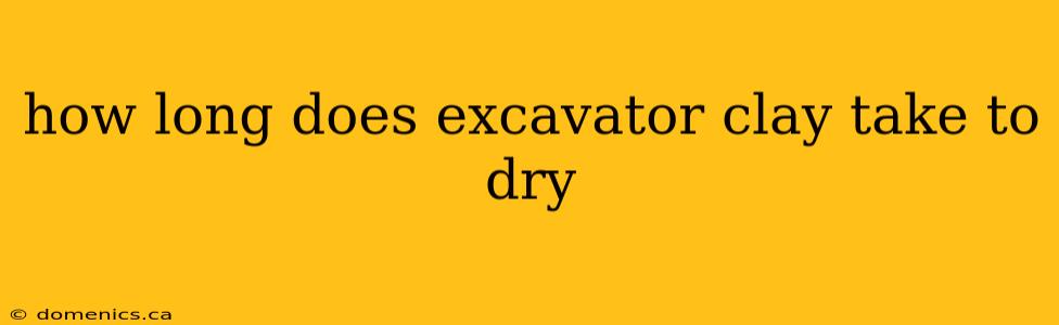 how long does excavator clay take to dry