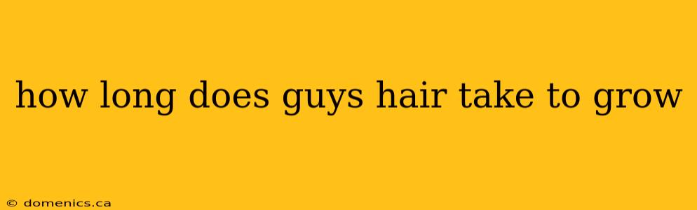 how long does guys hair take to grow