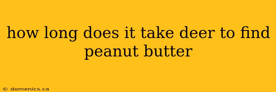 how long does it take deer to find peanut butter