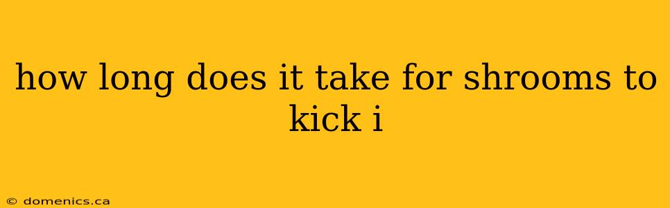 how long does it take for shrooms to kick i