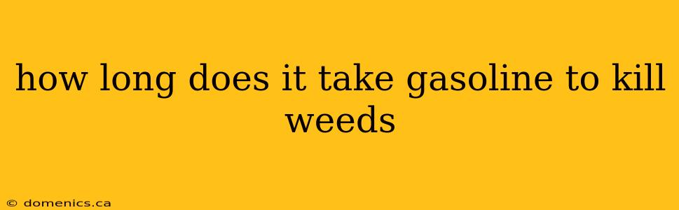 how long does it take gasoline to kill weeds