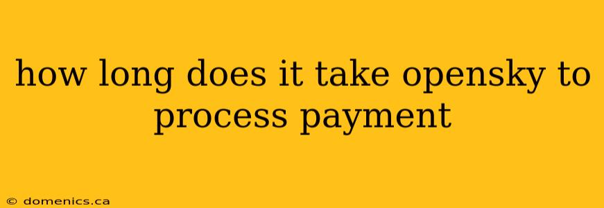 how long does it take opensky to process payment