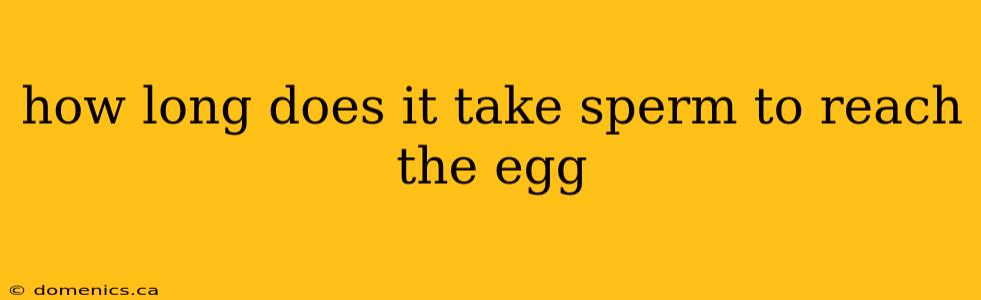 how long does it take sperm to reach the egg