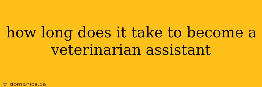 how long does it take to become a veterinarian assistant