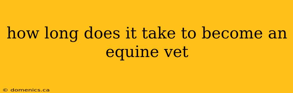 how long does it take to become an equine vet