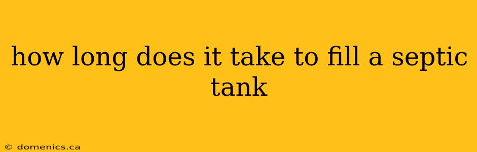 how long does it take to fill a septic tank