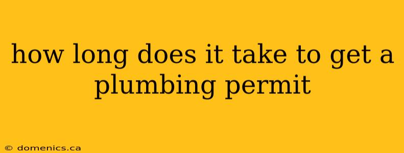 how long does it take to get a plumbing permit