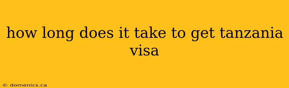 how long does it take to get tanzania visa