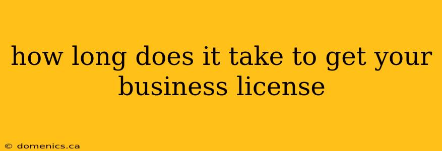 how long does it take to get your business license