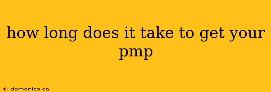 how long does it take to get your pmp