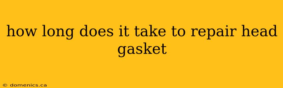 how long does it take to repair head gasket