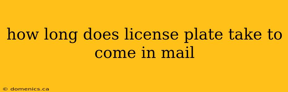 how long does license plate take to come in mail