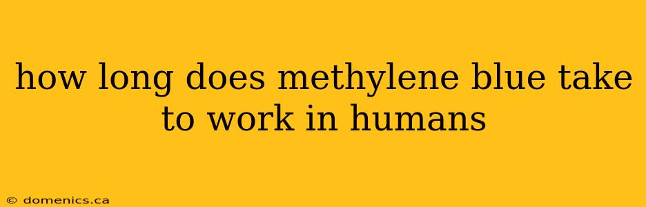 how long does methylene blue take to work in humans