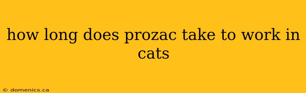 how long does prozac take to work in cats