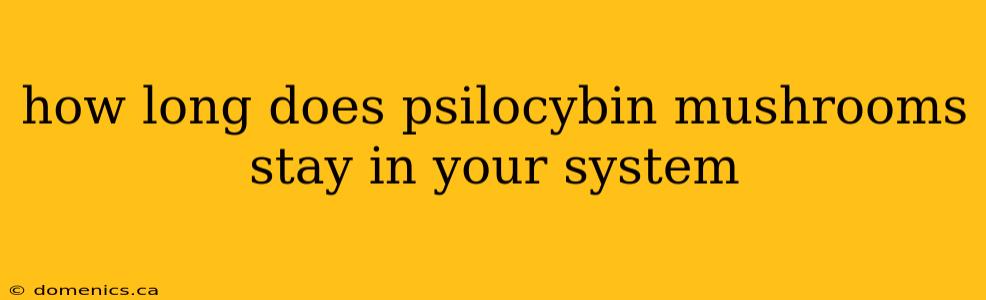 how long does psilocybin mushrooms stay in your system