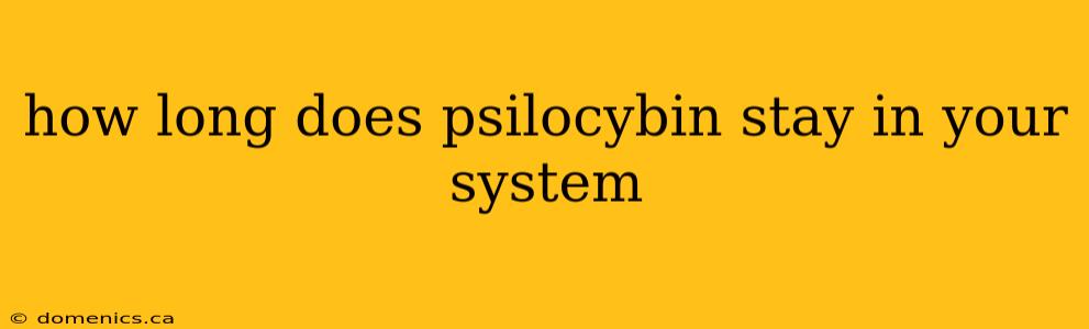 how long does psilocybin stay in your system