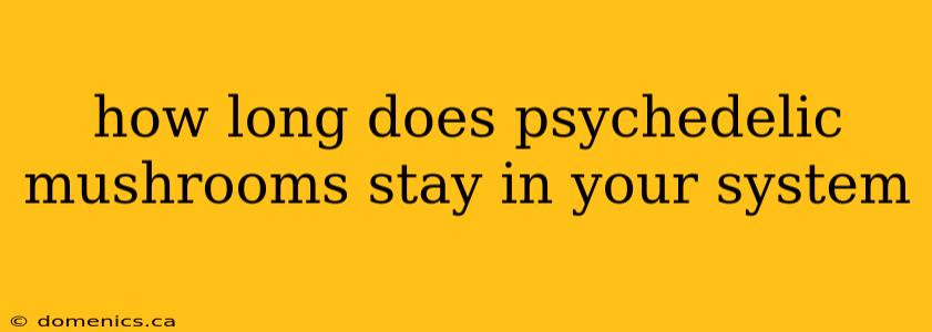 how long does psychedelic mushrooms stay in your system