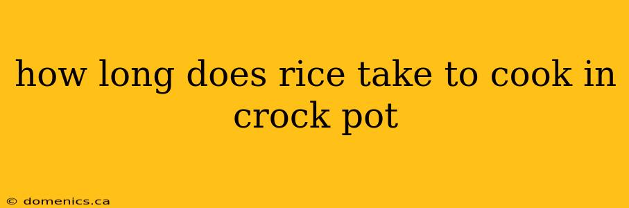 how long does rice take to cook in crock pot