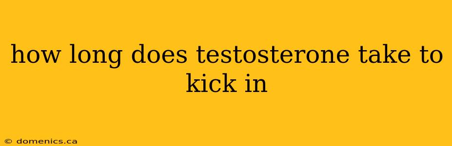 how long does testosterone take to kick in