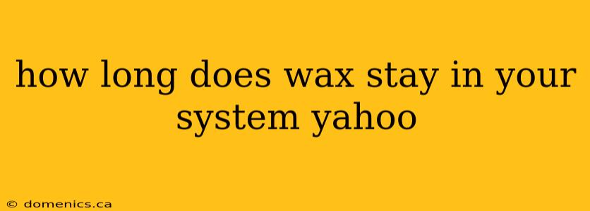 how long does wax stay in your system yahoo