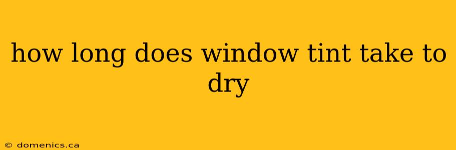 how long does window tint take to dry