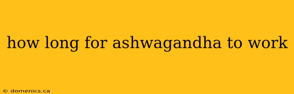 how long for ashwagandha to work