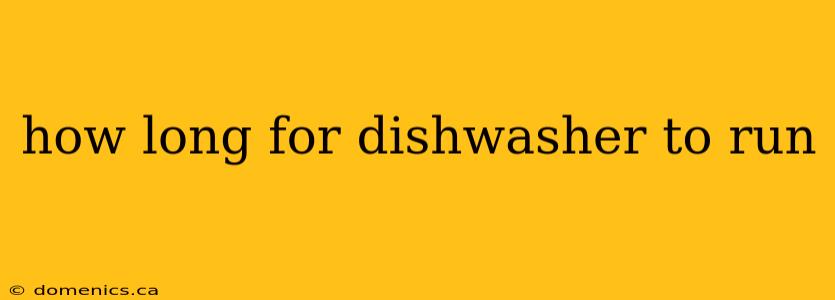 how long for dishwasher to run