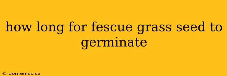 how long for fescue grass seed to germinate