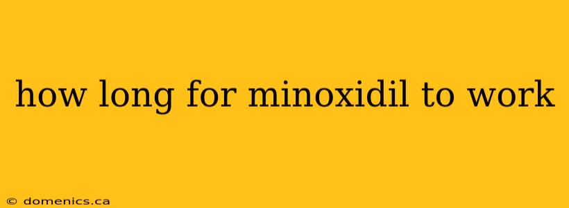 how long for minoxidil to work