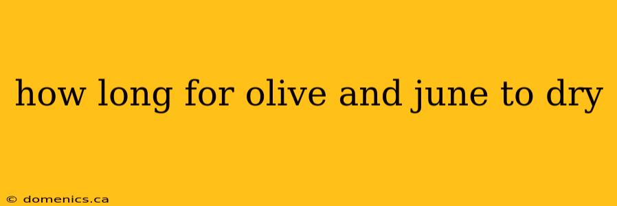 how long for olive and june to dry