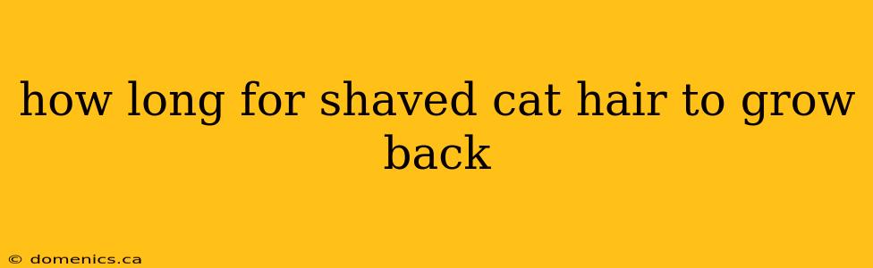 how long for shaved cat hair to grow back