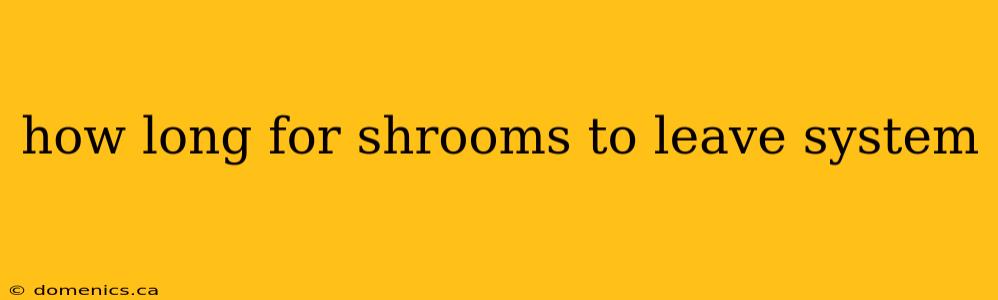 how long for shrooms to leave system