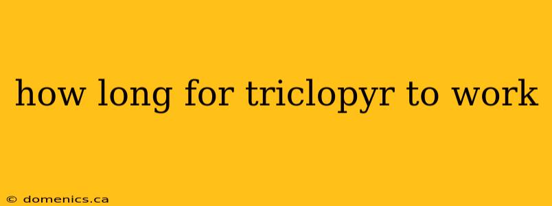 how long for triclopyr to work