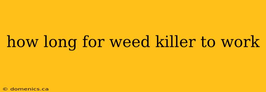 how long for weed killer to work